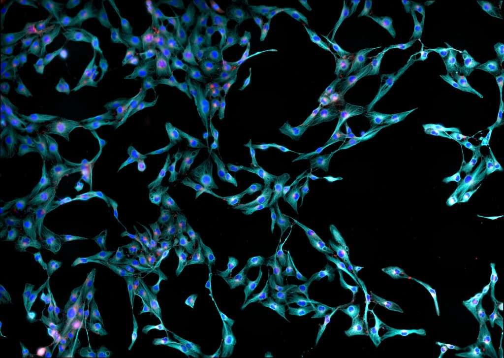 Technologies Overview | Centre For Human Specific Research