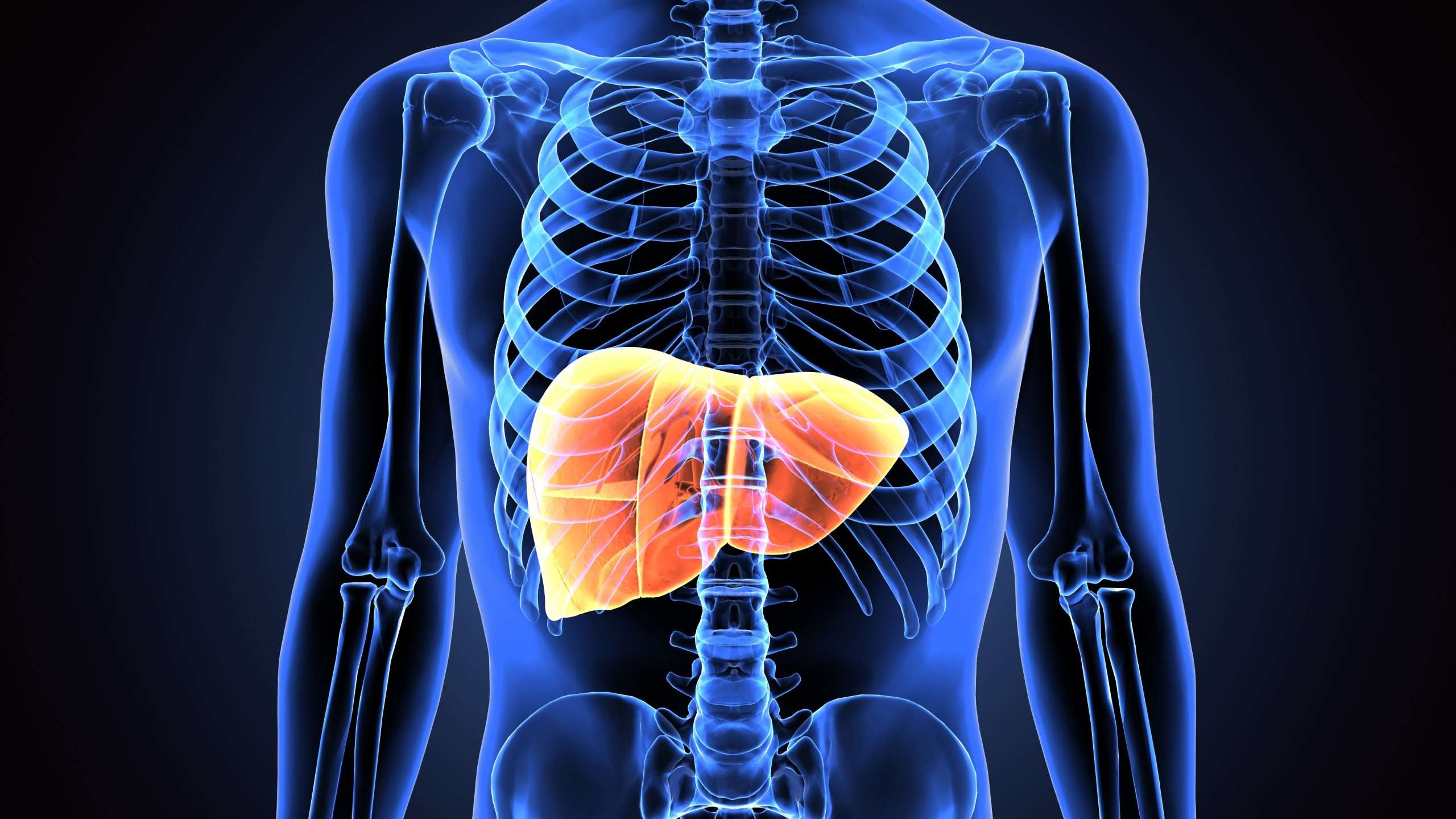 New Paper Provides a Fresh Perspective on How Complex In Vitro Models are Addressing the Challenges of Predicting Drug-induced Liver Injury  
