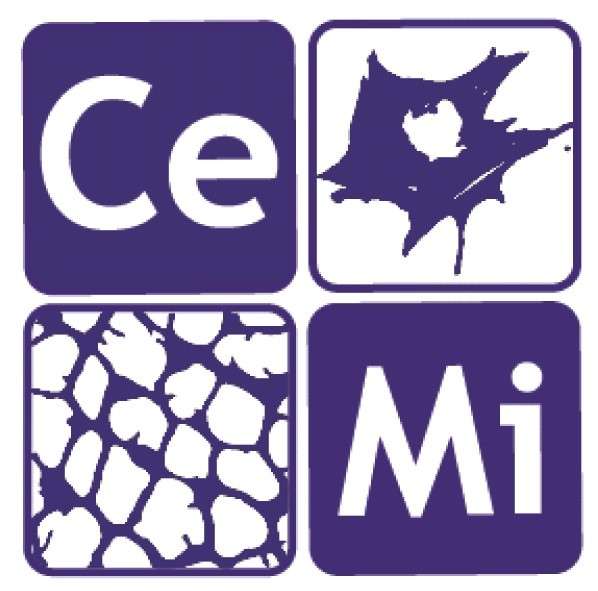 Centre for the Cellular Microenvironment