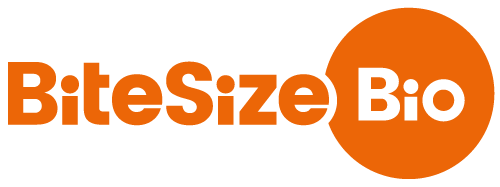 BiteSize Bio logo