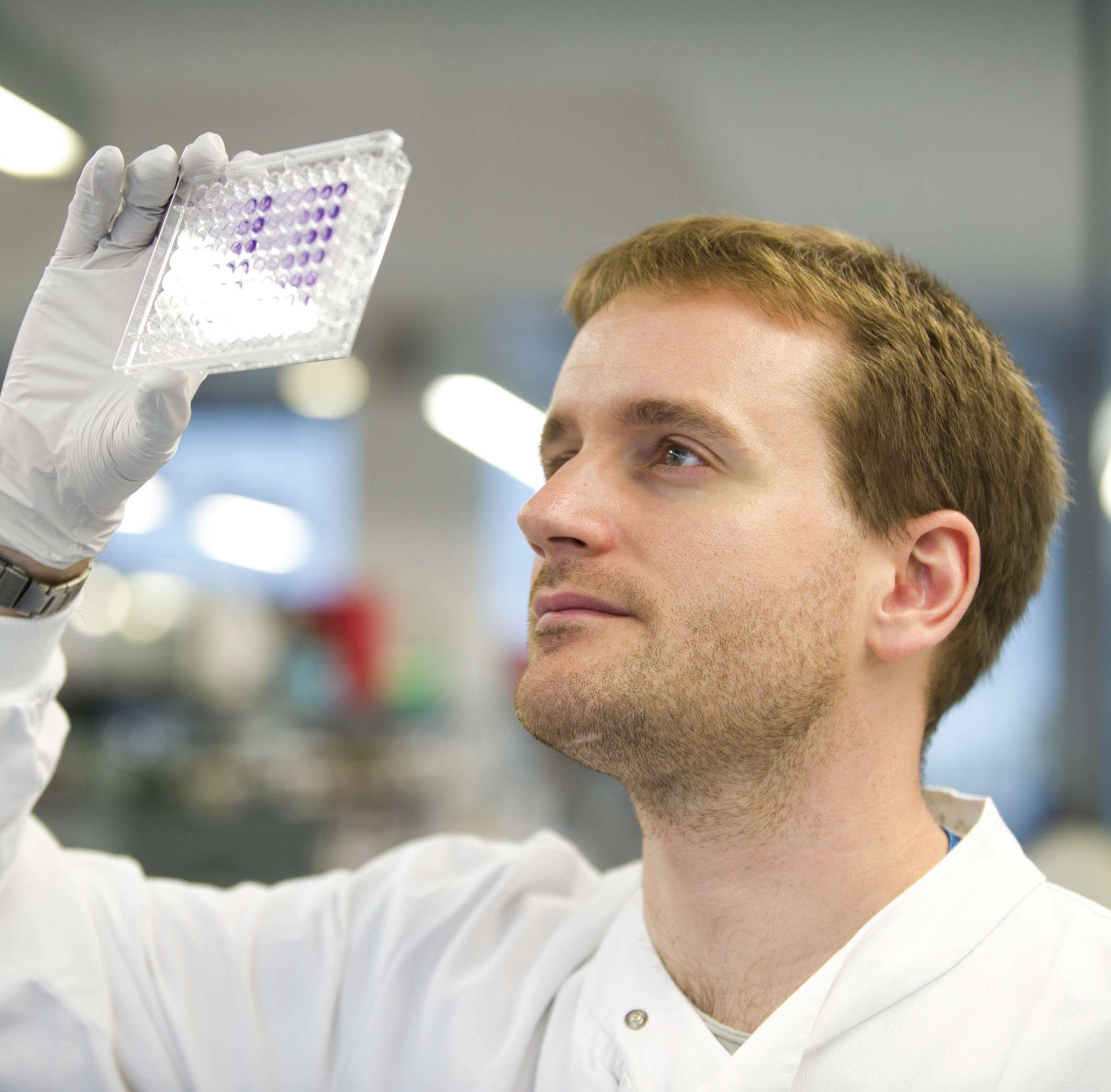 Dr Adrian Biddle