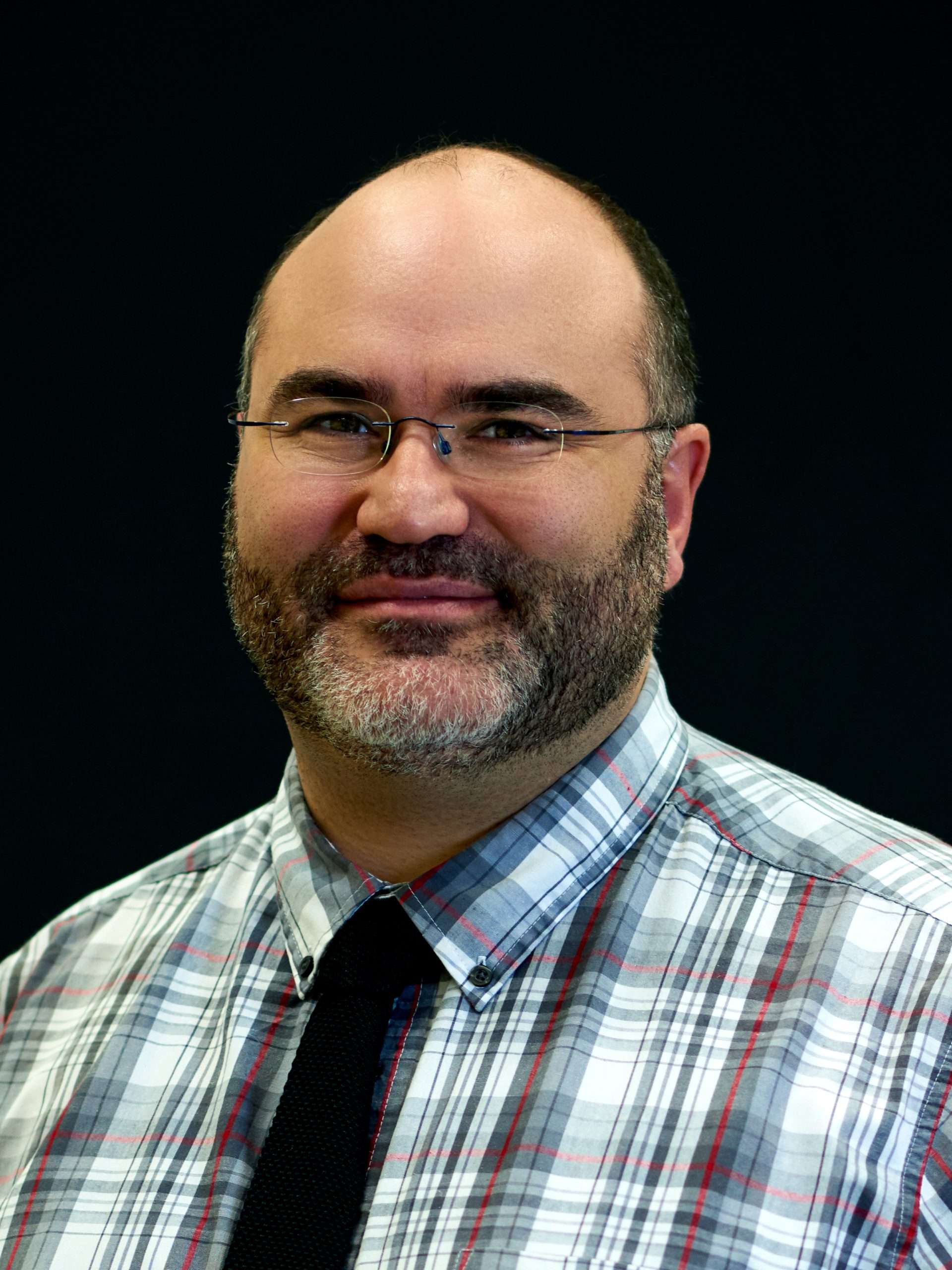 Professor Alex Frangi